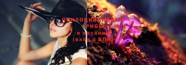 mix Алексин