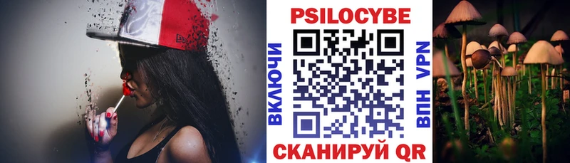 Псилоцибиновые грибы мицелий  Курчалой 