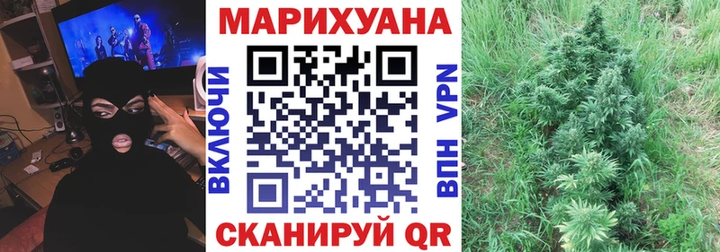 Конопля планчик  Курчалой 
